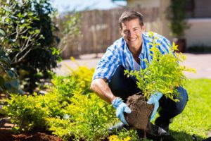Gardening-for-the-Urban-Dweller
