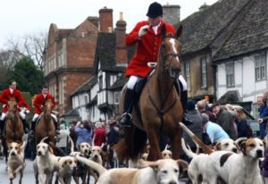 fox-hunting